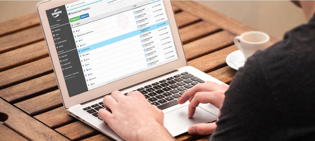 SpinBackup for Outlook Platform Screen