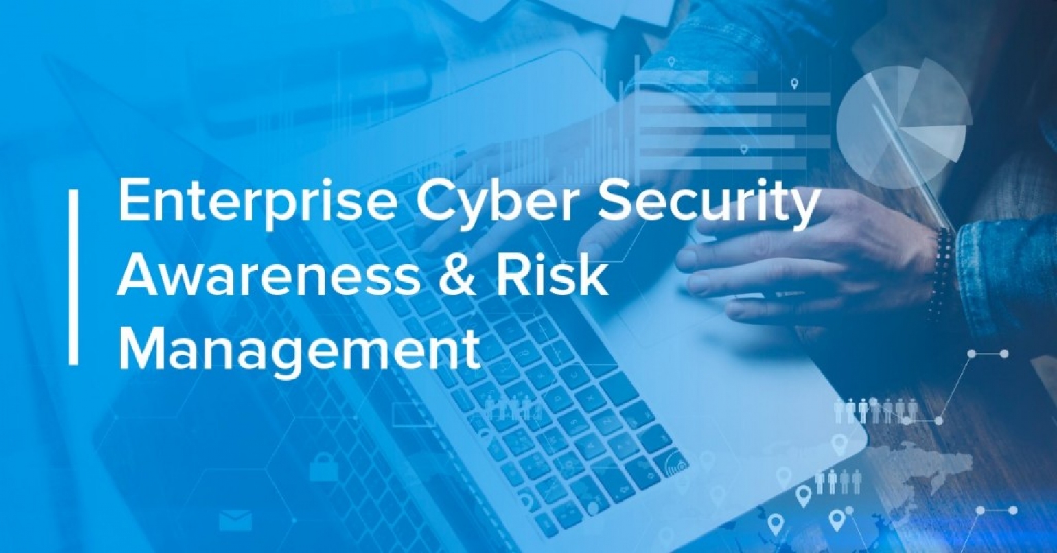 Cyber Security Awareness and Risk Management